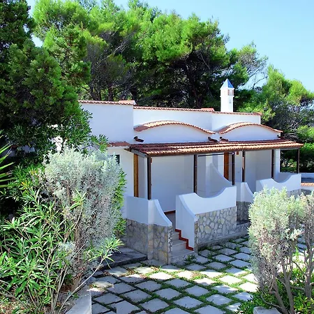 M3 3* بيسْكيتْشّي