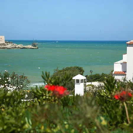 M3 3* بيسْكيتْشّي