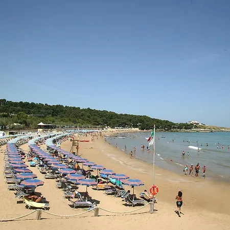 M3 3* بيسْكيتْشّي