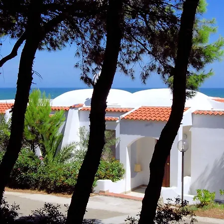 M3 3* بيسْكيتْشّي