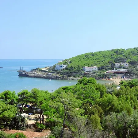 M3 3* بيسْكيتْشّي