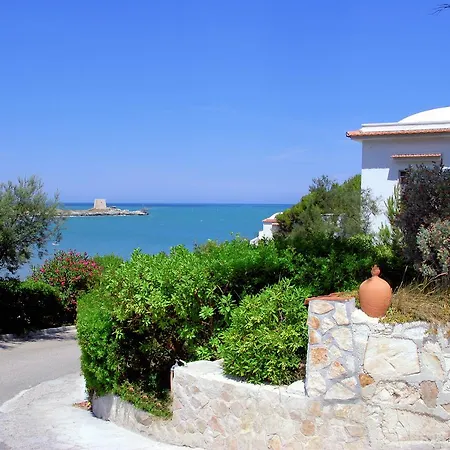 M3 3* بيسْكيتْشّي