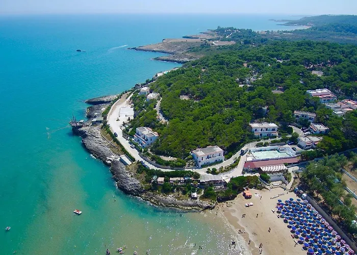 M3 מלון דירות פסקיצ'י